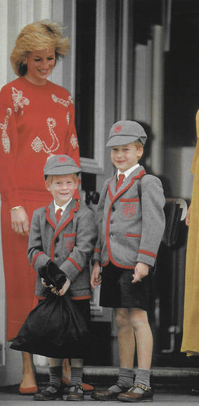 Princesa Diana, Harry e William
