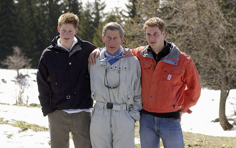 Príncipes Harry, Charles e William