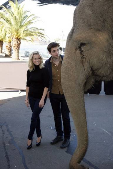 Reese e Pattinson ao lado de um elefante em Sydney