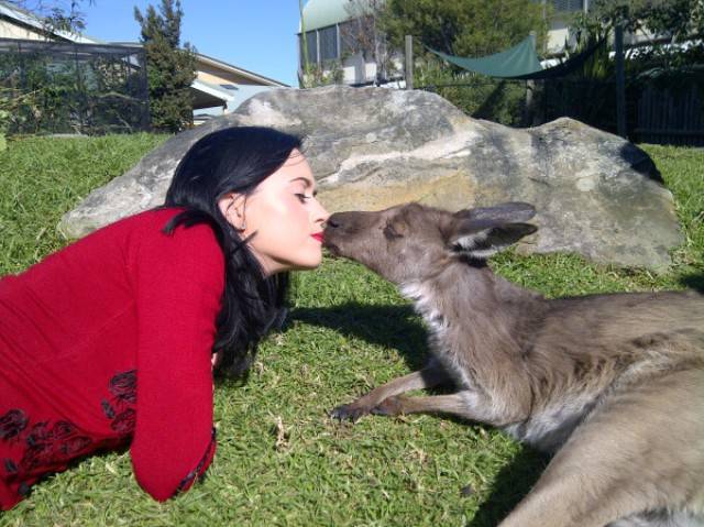 Katy Perry dá selinho em um canguru