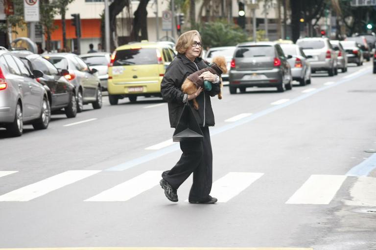 Nathália Timberg passeia com cachorro pelo Rio de Janeiro