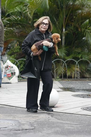 Nathália Timberg passeia com cachorro pelo Rio de Janeiro