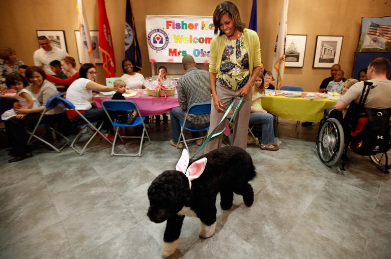 Michelle Obama vestiu Bo, o cachorro da família, com orelhas de coelho para a Páscoa