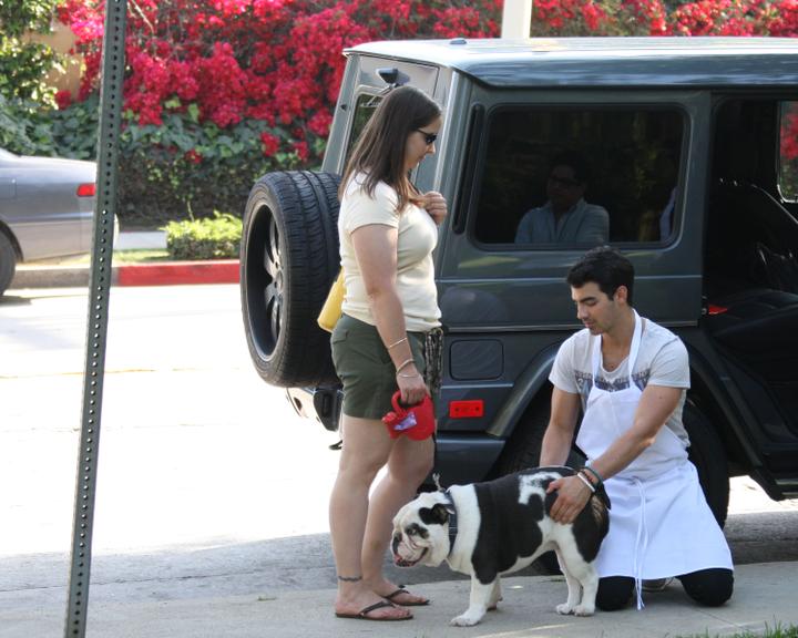 Joe Jonas brinca com cachorro durante evento escolar na cidade de Los Angeles