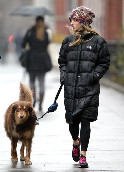 Amanda Seyfried curte passeio com seu cachorro pelas ruas de Nova York, Estados Unidos