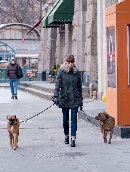 Jessica Biel passeia com seus cães por Nova York, Estados Unidos