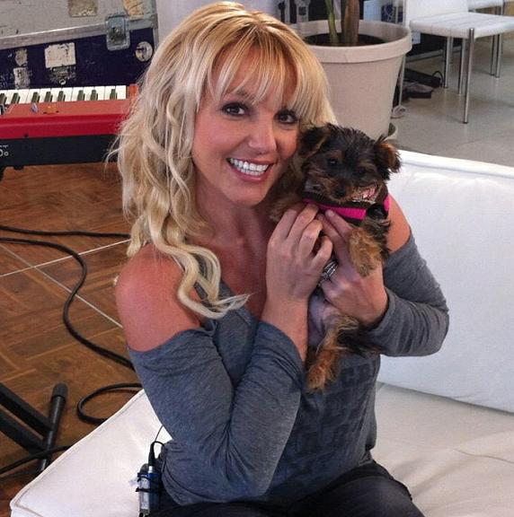 Britney Spears - @britneyspears