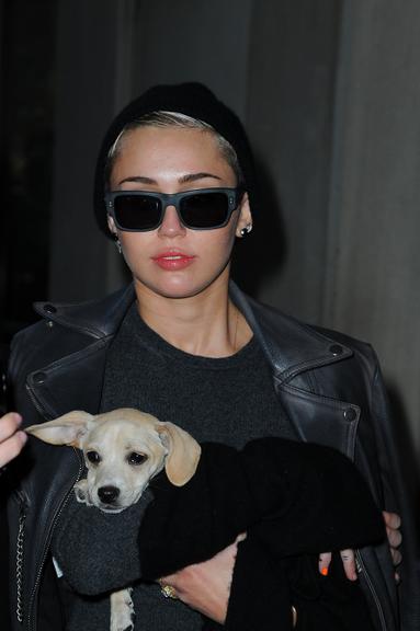 Miley Cyrus não desgruda de seus cachorrinhos