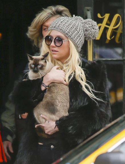 Ke$ha carrega seu gatinho por Nova York