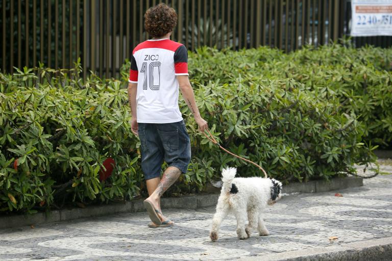 Felipe Dylon passeia com o cachorro no Rio de Janeiro