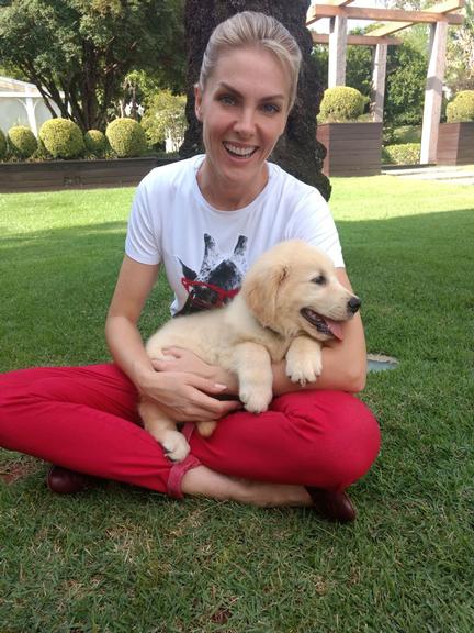 Ação do bem: Ana Hickmann adota cãozinho 