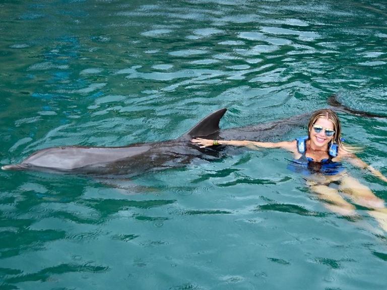 Karina Bacchi e a família nadando com os golfinhos 