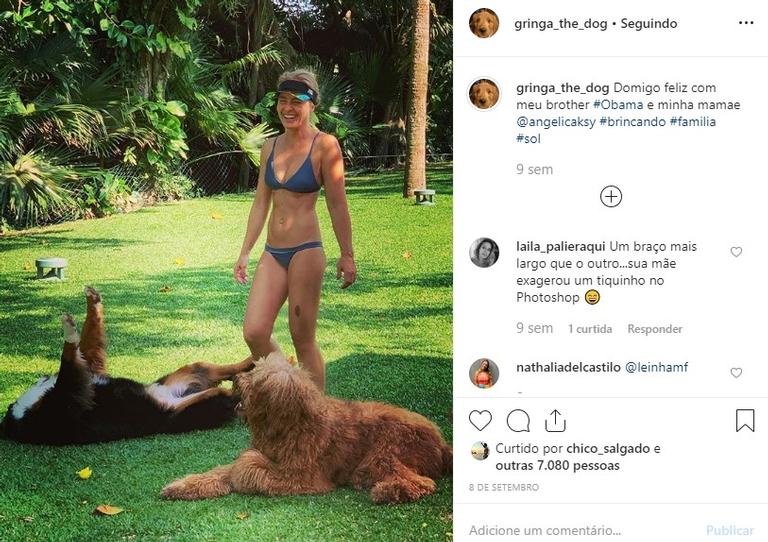 Cachorrinha de Angélica tem perfil fofo no Instagram